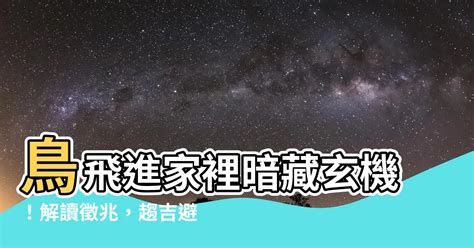 鳥飛進 家裡 代表什麼|【鳥飛進家裡代表什麼】鳥飛進家裡暗示什麼？驚人預兆揭露！